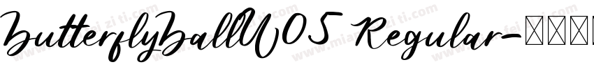 ButterflyBallW05 Regular字体转换
